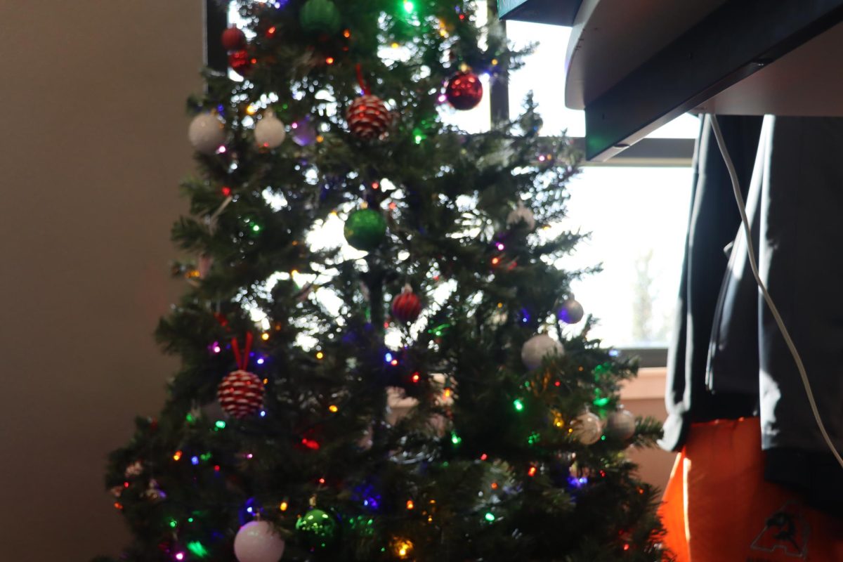 Tree in Mrs. Newell's room.