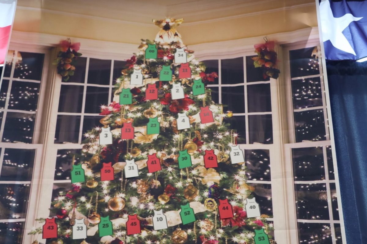Tree in coach Herks room.