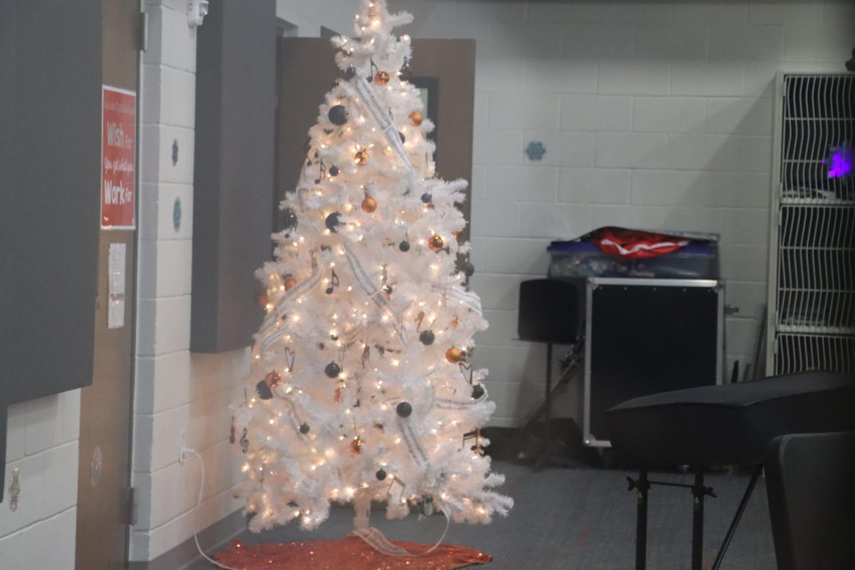The tree in the band room.